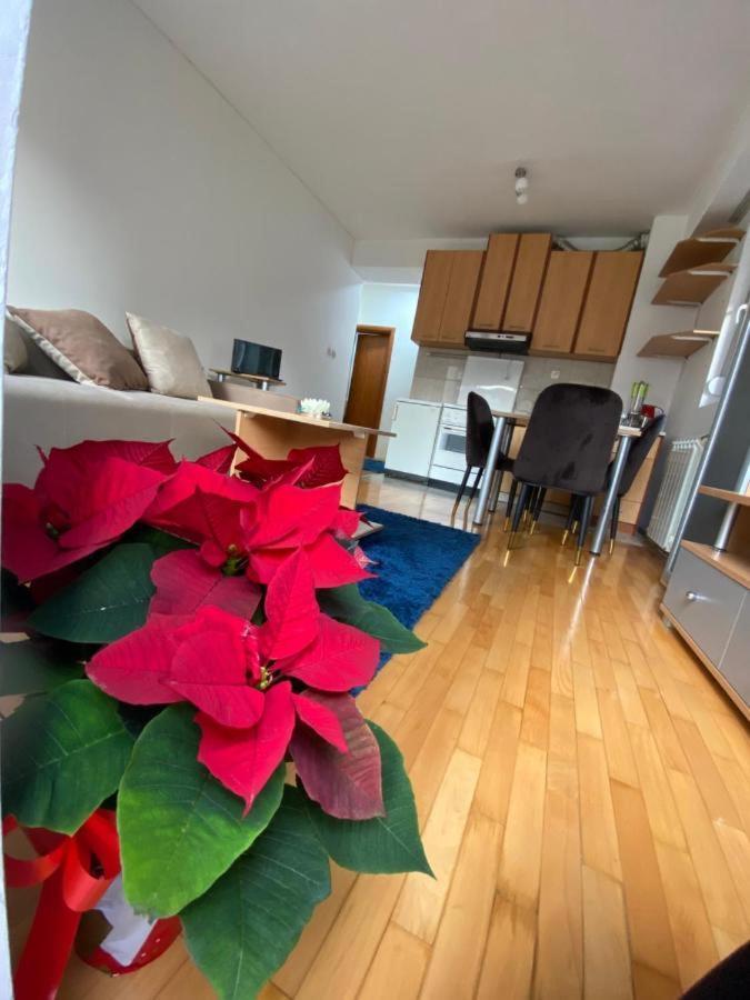 Tea Apartment Скопие Екстериор снимка